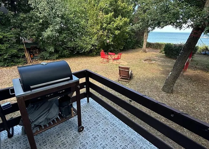 Nagyi Nyaraloja - Vizparti