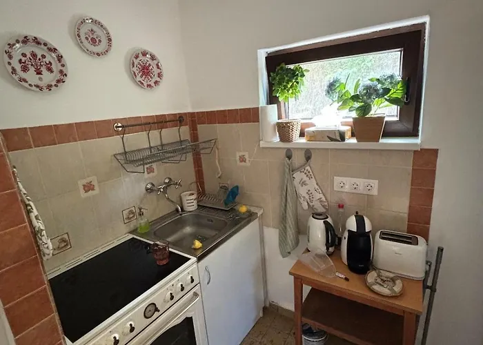 Nagyi Nyaraloja - Vizparti